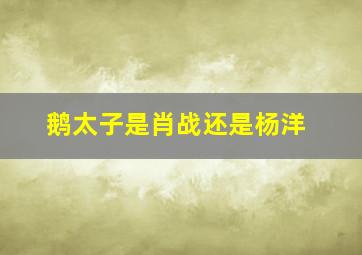 鹅太子是肖战还是杨洋