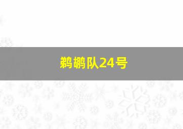 鹈鹕队24号