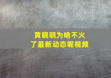 黄晓明为啥不火了最新动态呢视频