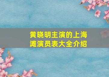 黄晓明主演的上海滩演员表大全介绍