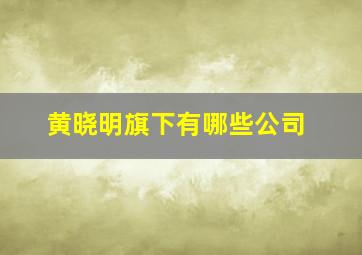 黄晓明旗下有哪些公司