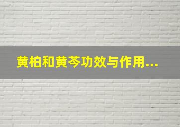 黄柏和黄芩功效与作用...