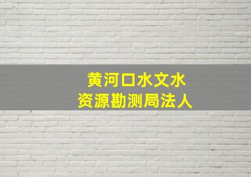 黄河口水文水资源勘测局法人