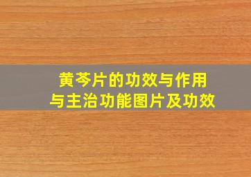 黄芩片的功效与作用与主治功能图片及功效