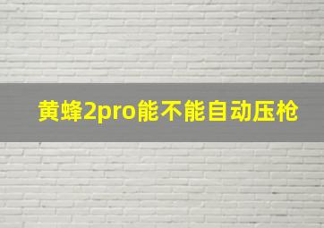 黄蜂2pro能不能自动压枪