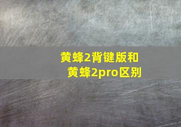 黄蜂2背键版和黄蜂2pro区别