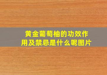 黄金葡萄柚的功效作用及禁忌是什么呢图片