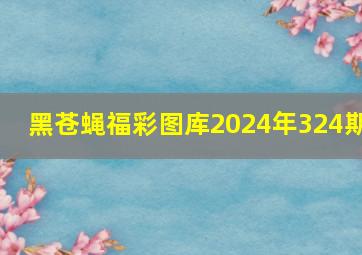 黑苍蝇福彩图库2024年324期