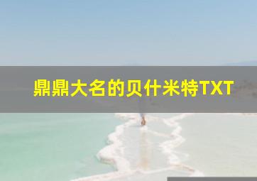 鼎鼎大名的贝什米特TXT