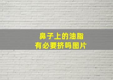 鼻子上的油脂有必要挤吗图片