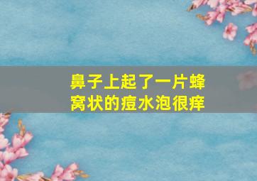 鼻子上起了一片蜂窝状的痘水泡很痒