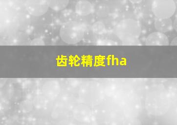 齿轮精度fha