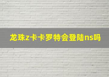 龙珠z卡卡罗特会登陆ns吗