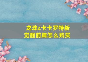 龙珠z卡卡罗特新觉醒前篇怎么购买