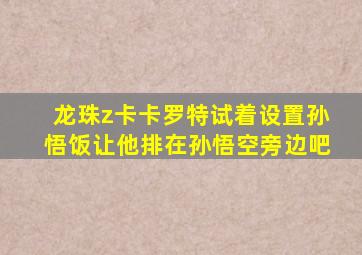 龙珠z卡卡罗特试着设置孙悟饭让他排在孙悟空旁边吧