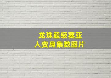 龙珠超级赛亚人变身集数图片