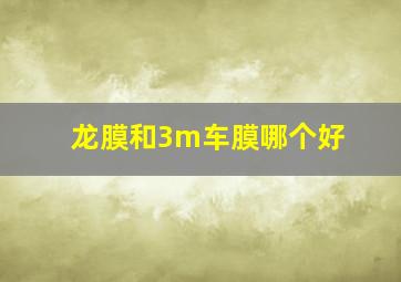 龙膜和3m车膜哪个好