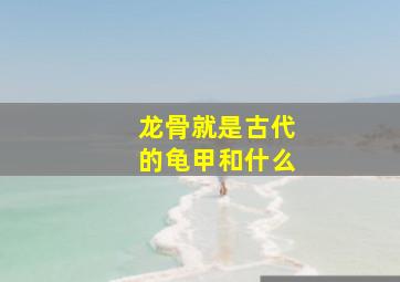 龙骨就是古代的龟甲和什么